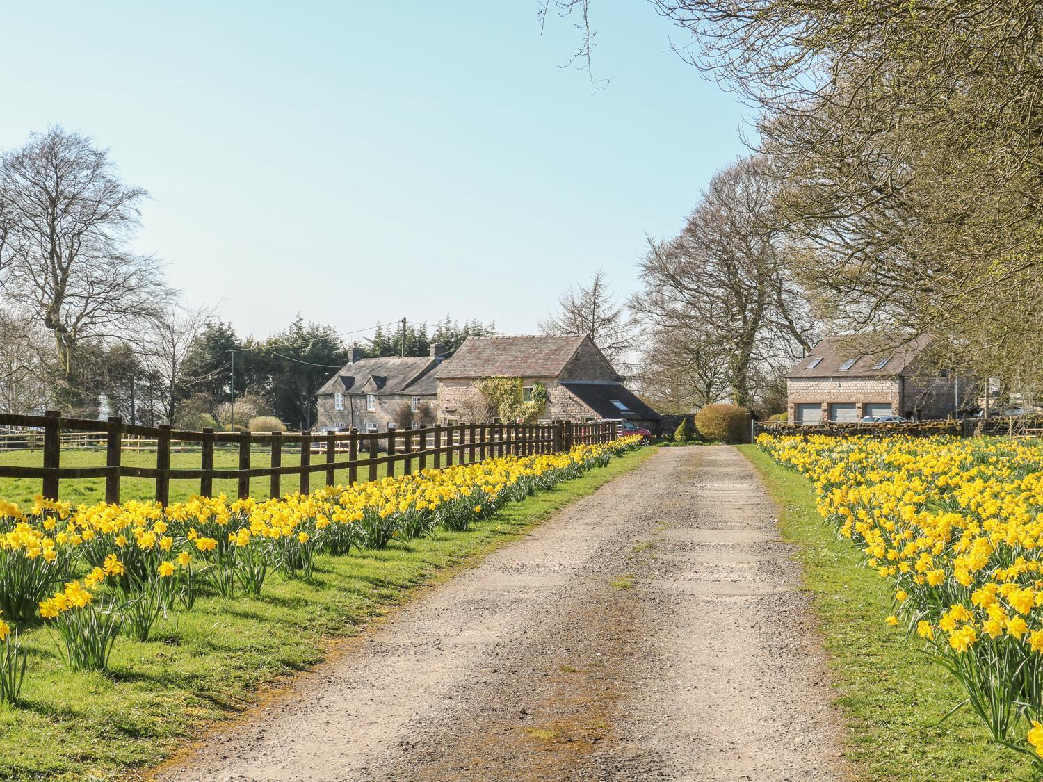 The Cottage Calton エクステリア 写真